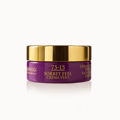 Vagheggi 75.15 Sorbet Feel Face Cream